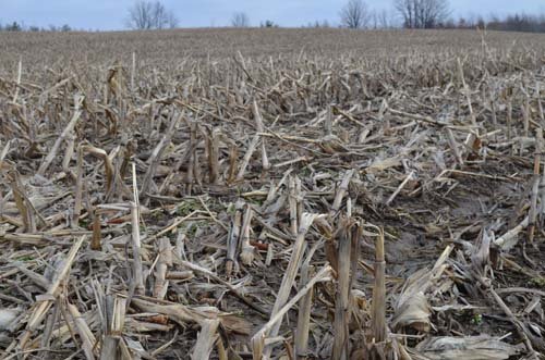 Property photo 35 - 98+/- Acres Offered in 6 Tracts or Combinations, Noble County, Indiana Farm